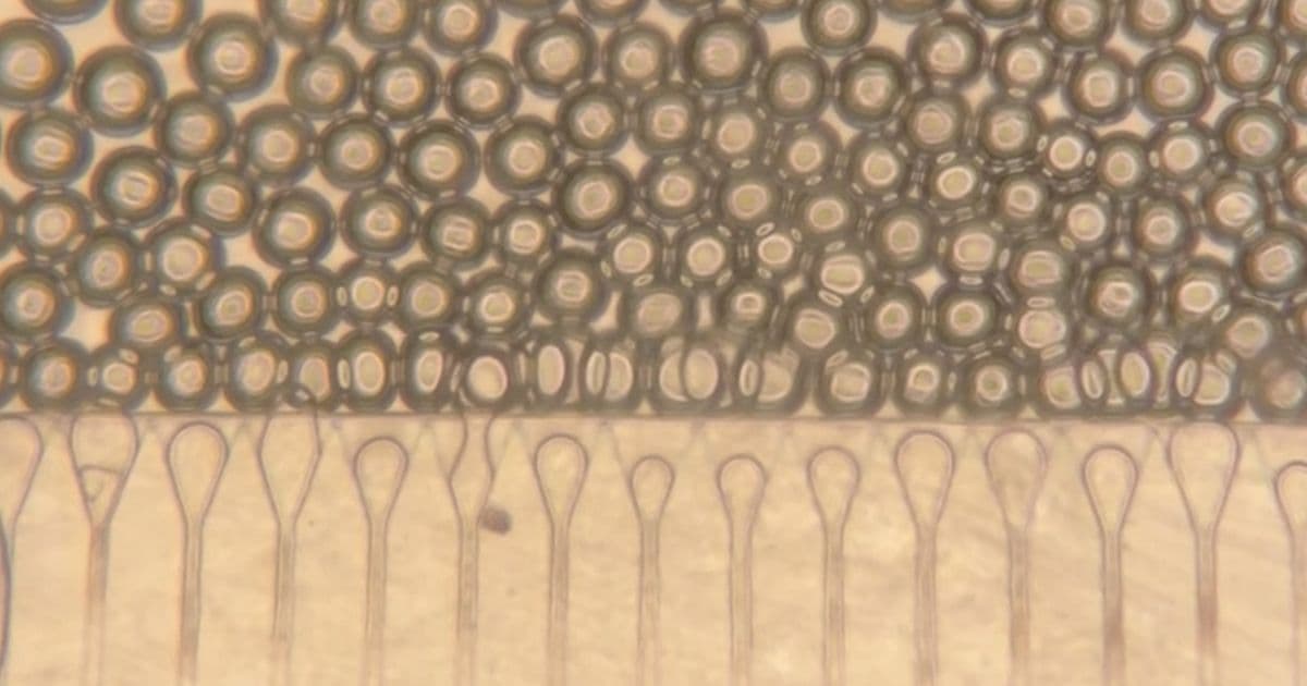 Injectable 'Satellite Livers' Could Transform Treatment for Liver Disease