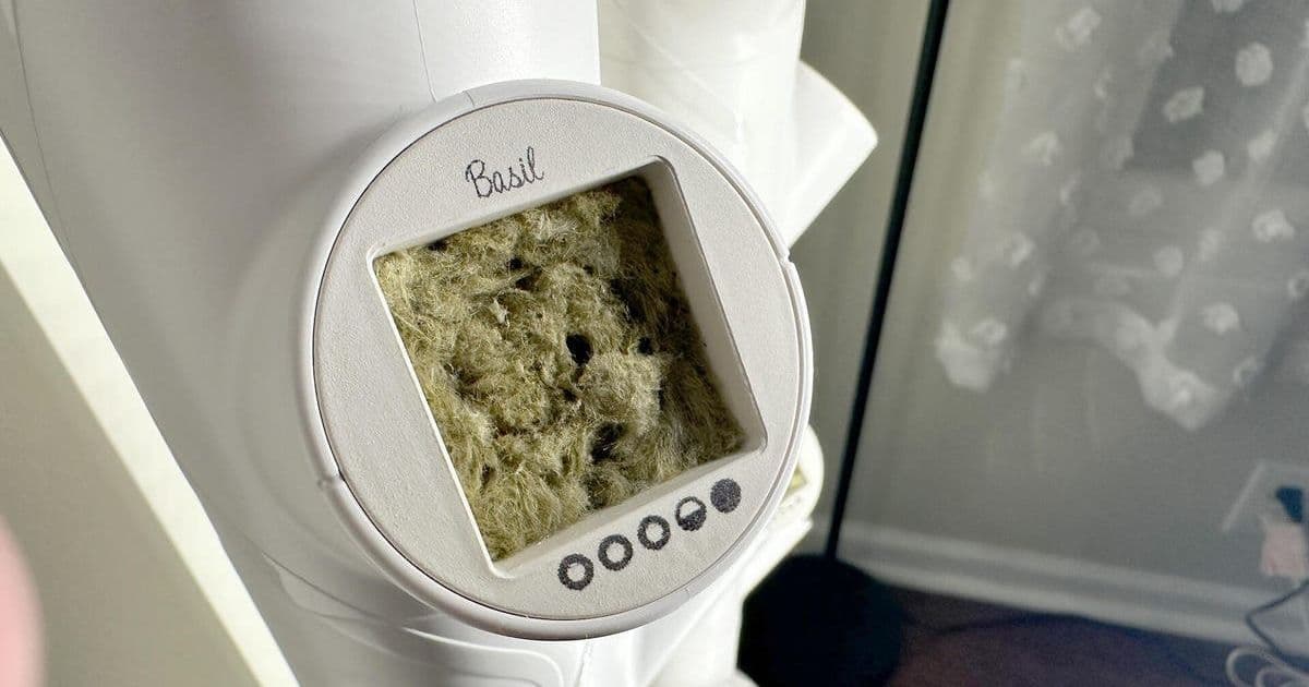 Inside Gardyn Studio 2: How AI-Powered Computer Vision is Reshaping Indoor Farming