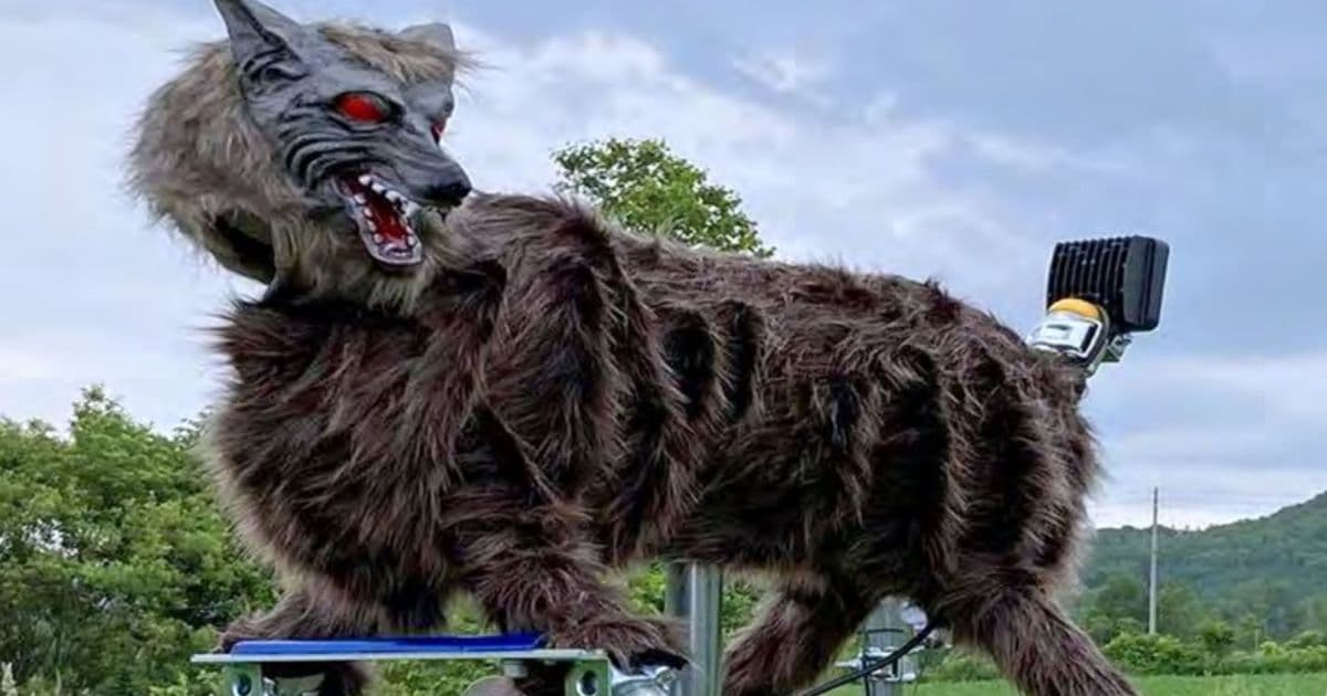 Japan's Bear Crisis Drives Surge in Demand for Animatronic Monster Wolf Robots