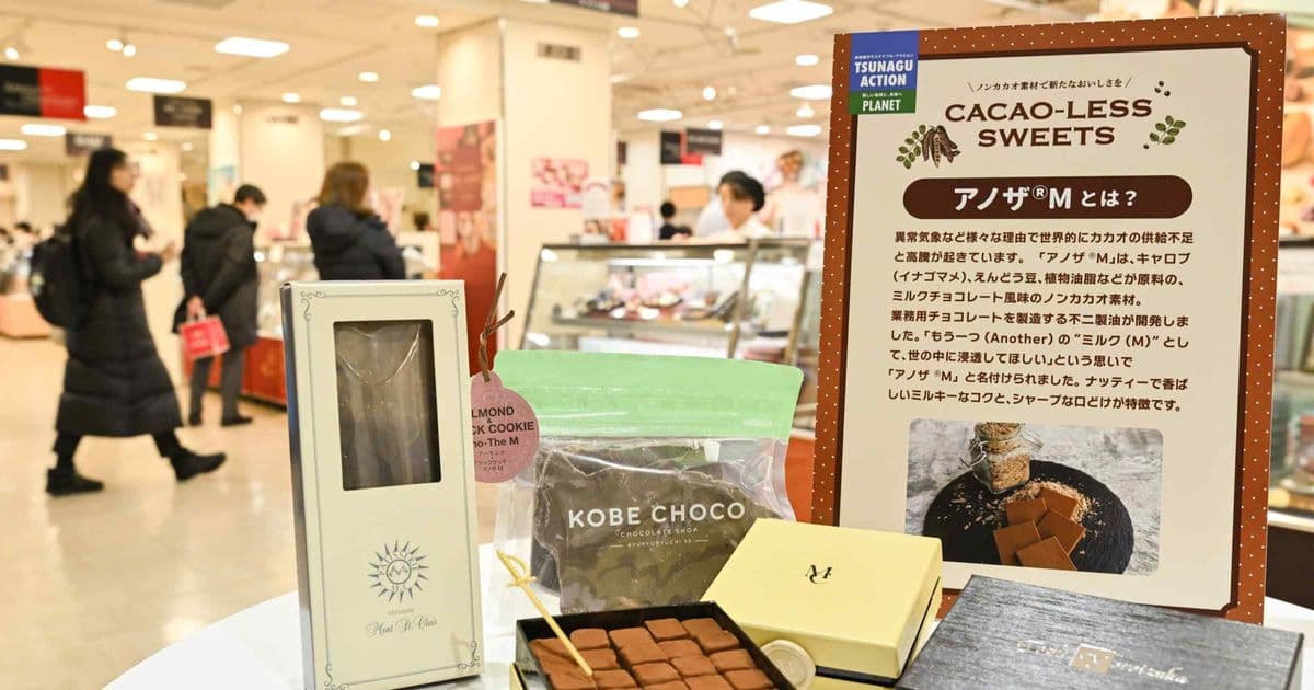 Japan's Chocolate Market Pivots to Cocoa Alternatives Amid Sustained Price Surge