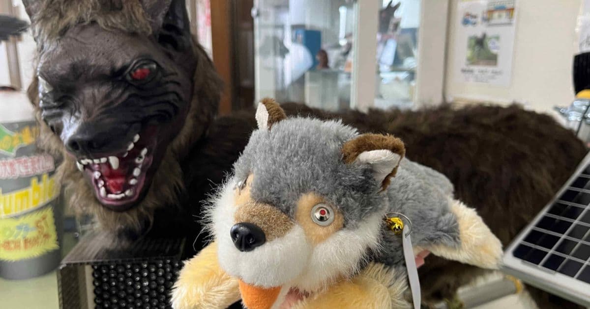 Japan's bear-scaring wolf robot gets adorable 80-decibel plush version