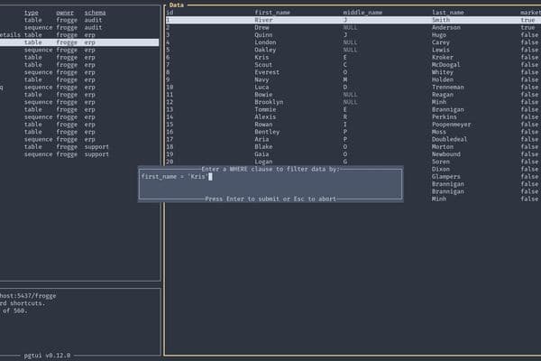 pgtui: Ein Terminal-TUI-Client, der die Lücke zwischen Texteditoren und Postgres-Datenbanken schließt