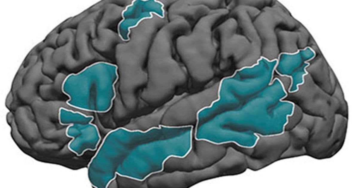 Left-Brain Language Processing Established by Age 4, MIT Research Reveals