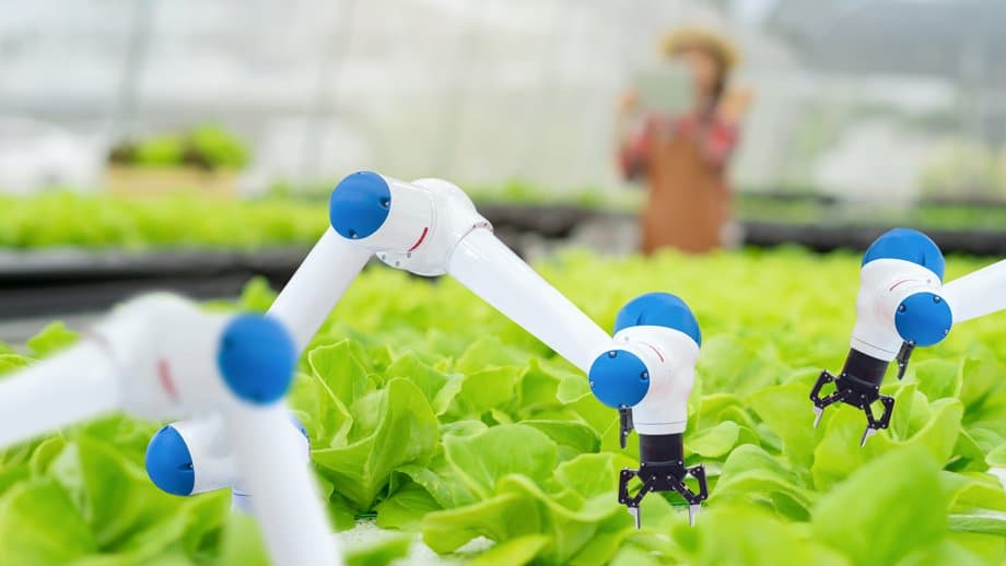 Strategic Review of Richtech Robotics’ Transactable Solutions on Microsoft Marketplace