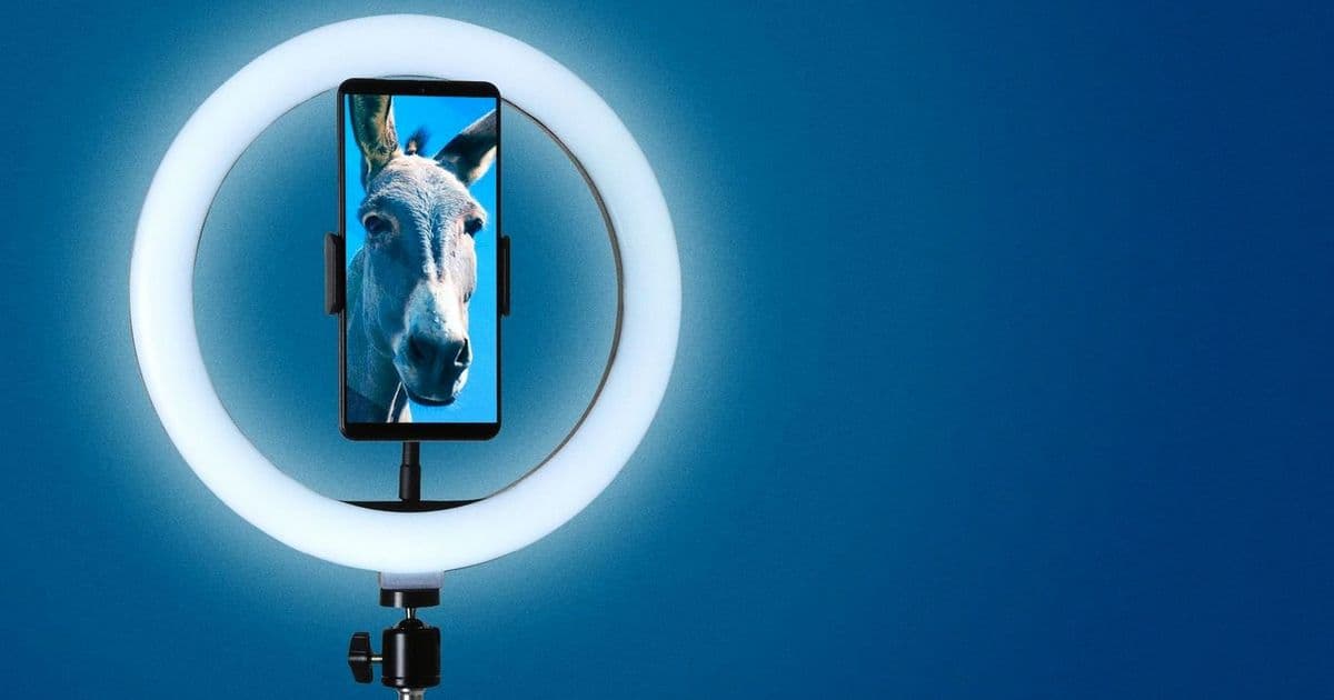 Liberal Media's MAGA-Like Splintering Challenges 2028 Contenders