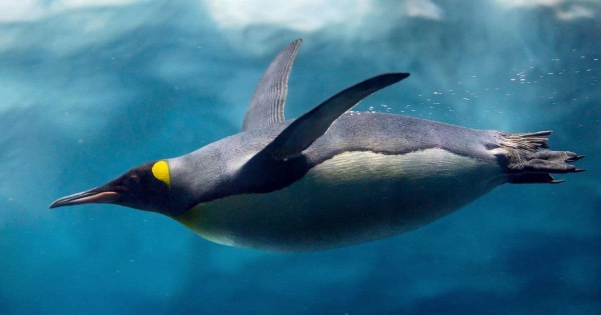 Linux 6.16 Lands with Rust Maturation, File System Speedups, and Confidential Computing Boost