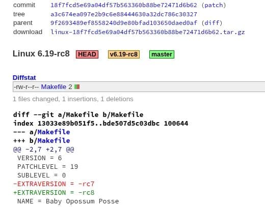 Linux 6.19-rc8 Released: Final Pre-Stable Kernel Arrives After Holiday Delay