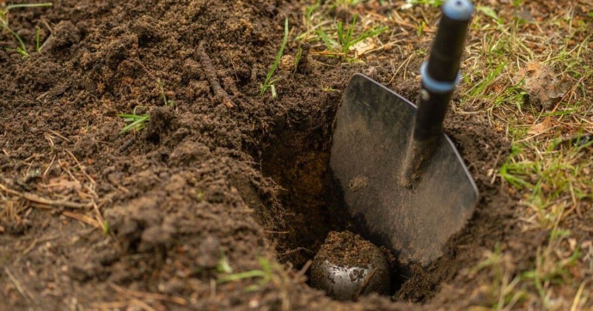 macOS 27 threatens to bury Time Capsule – FOSS digs it out with Samba