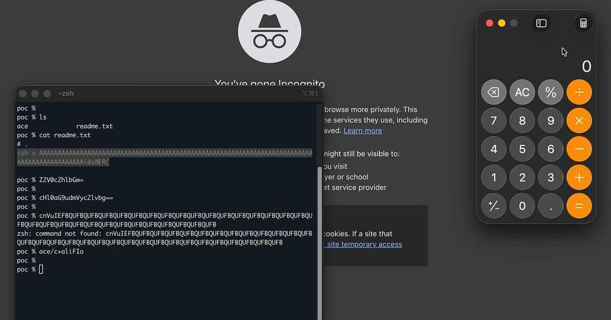The Hidden Danger in Terminal Emulators: How 'cat readme.txt' Became a Code Execution Vector