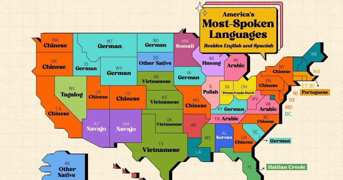 Voronoi App Maps America's Linguistic Diversity Beyond English and Spanish