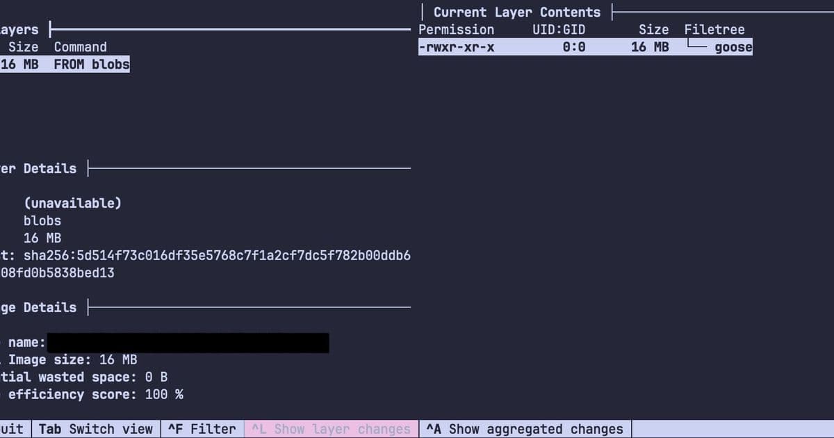 Mastering Minimalist Docker Images: Go, Nix, and Optimization Tricks for Faster Builds