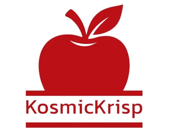 Mesa's KosmicKrisp Vulkan-On-Metal Achieves MoltenVK Feature Parity