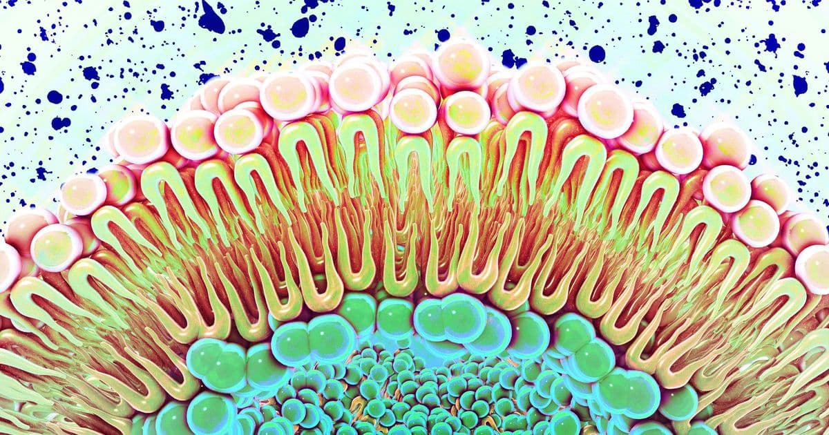 Cell Membranes Found to Actively Regulate Cancer-Causing Receptors, Not Just Provide Structure