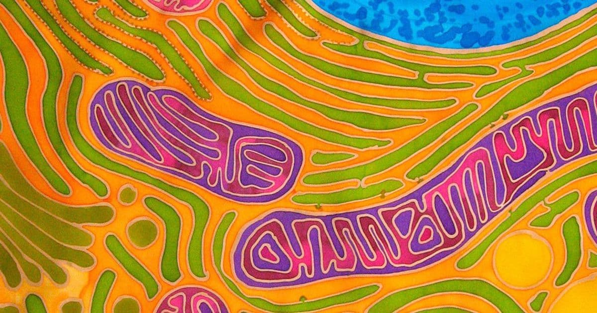 Mitochondrial Transplants: The Emerging Biotech Frontier in Healing Damaged Organs