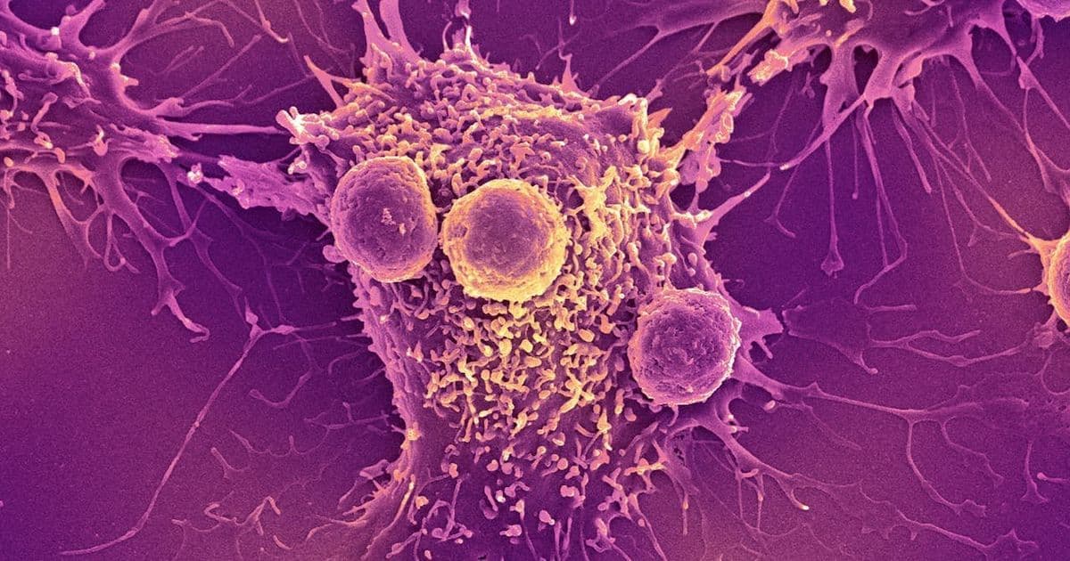 mRNA Vaccines: The Unlikely Key to Unlocking Cancer Immunotherapy's Full Potential