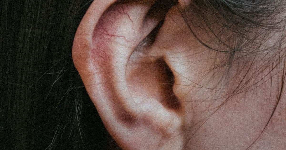 MIT Researchers Uncover How the Brain Isolates Voices in Noisy Environments