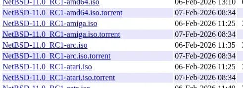 NetBSD 11.0-RC1 Available For Testing With Enhanced Linux Emulation