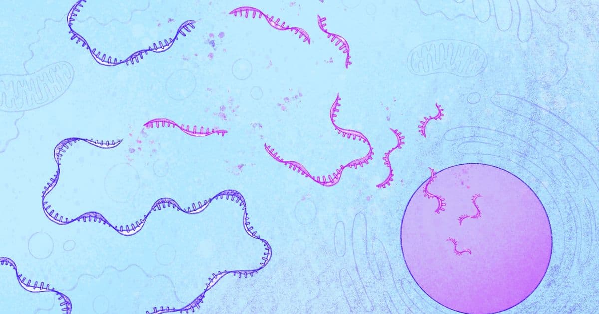 How Cells Compensate for Genetic Mutations: New Discovery Reveals Hidden RNA-Based Protection System