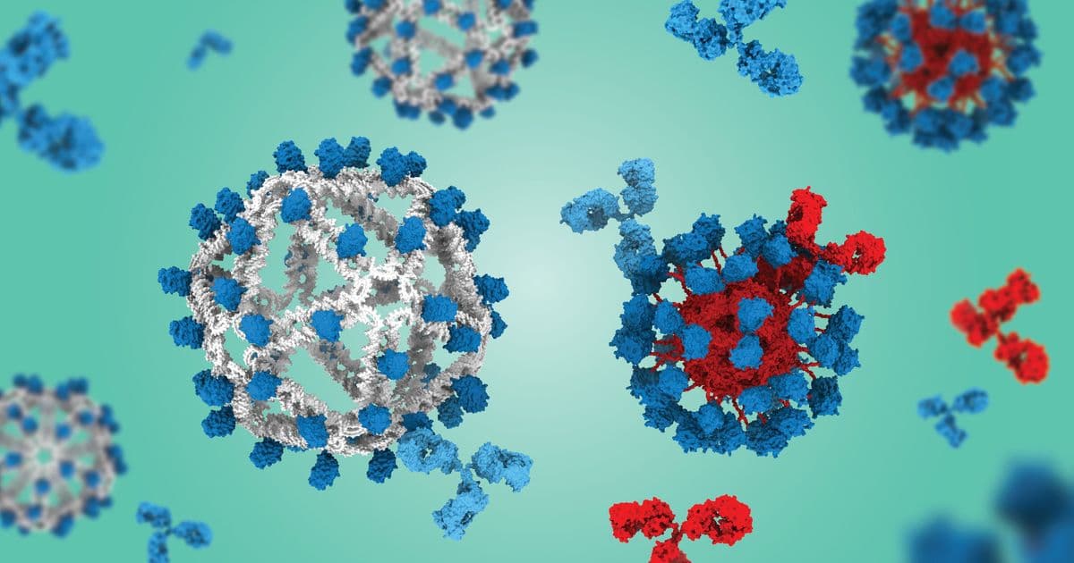 DNA Origami Vaccine Platform Boosts HIV-Targeting B Cells Eightfold
