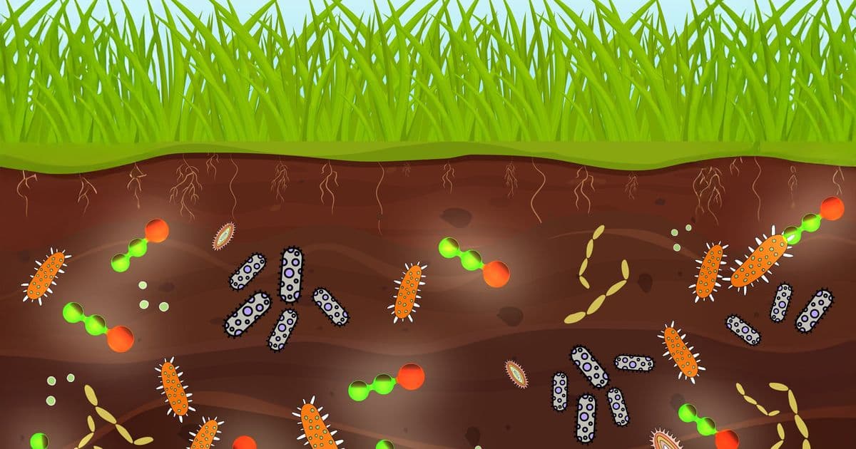Nitrous Oxide May Harm Beneficial Soil Bacteria, New Study Finds
