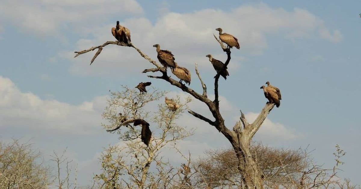 Nvidia GTC 2026: The Agentic AI Revolution Takes Center Stage