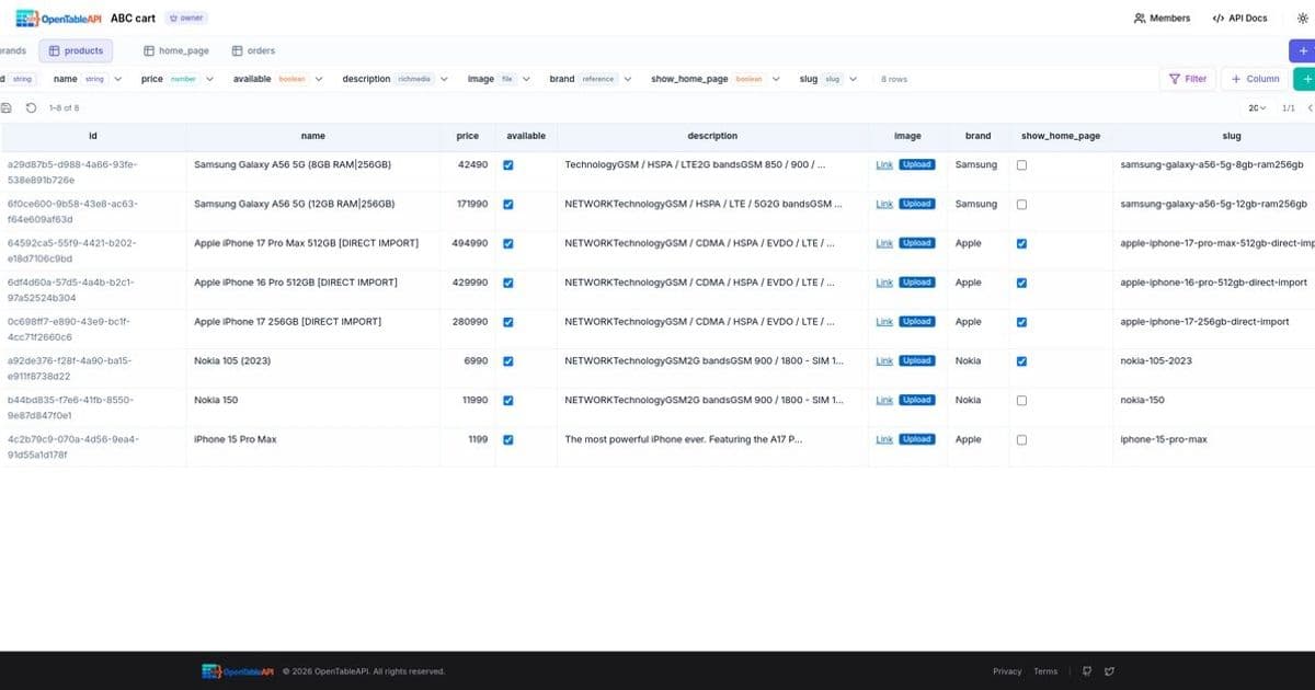 OpenTableAPI: Simplifying Backend Development Through API-First Data Management