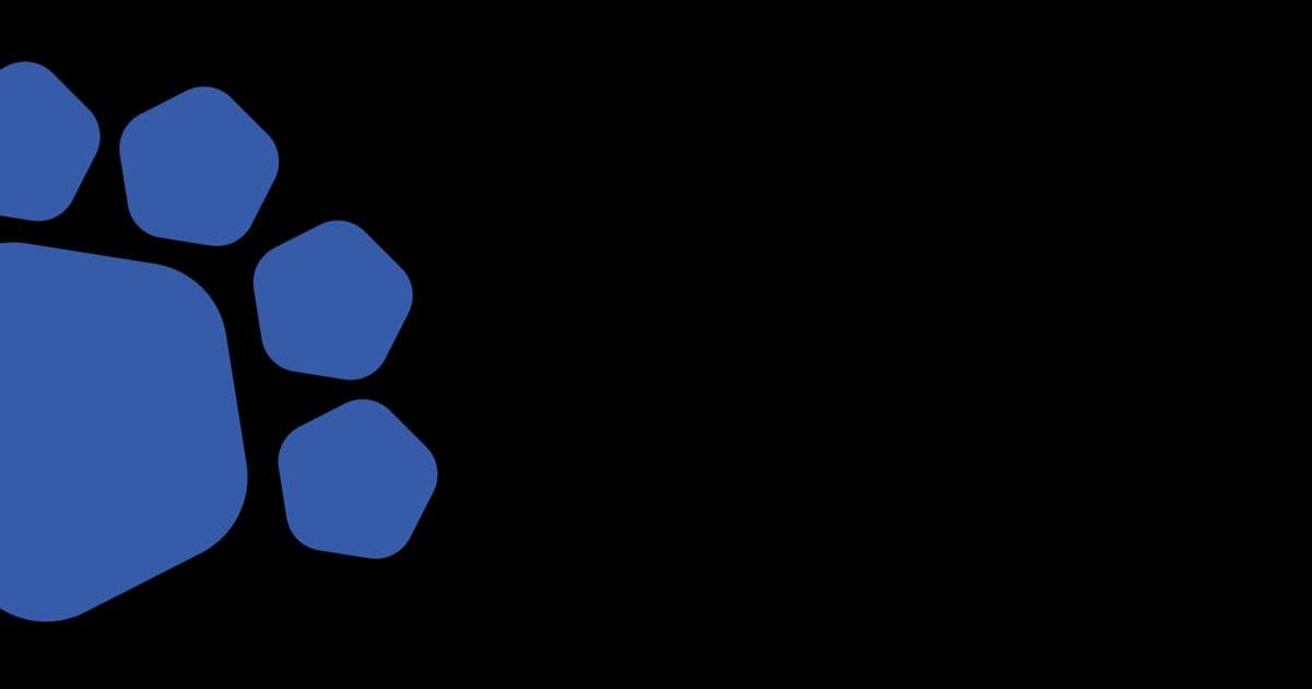 PgDog raises $5.5M to make Postgres scale horizontally without a rewrite