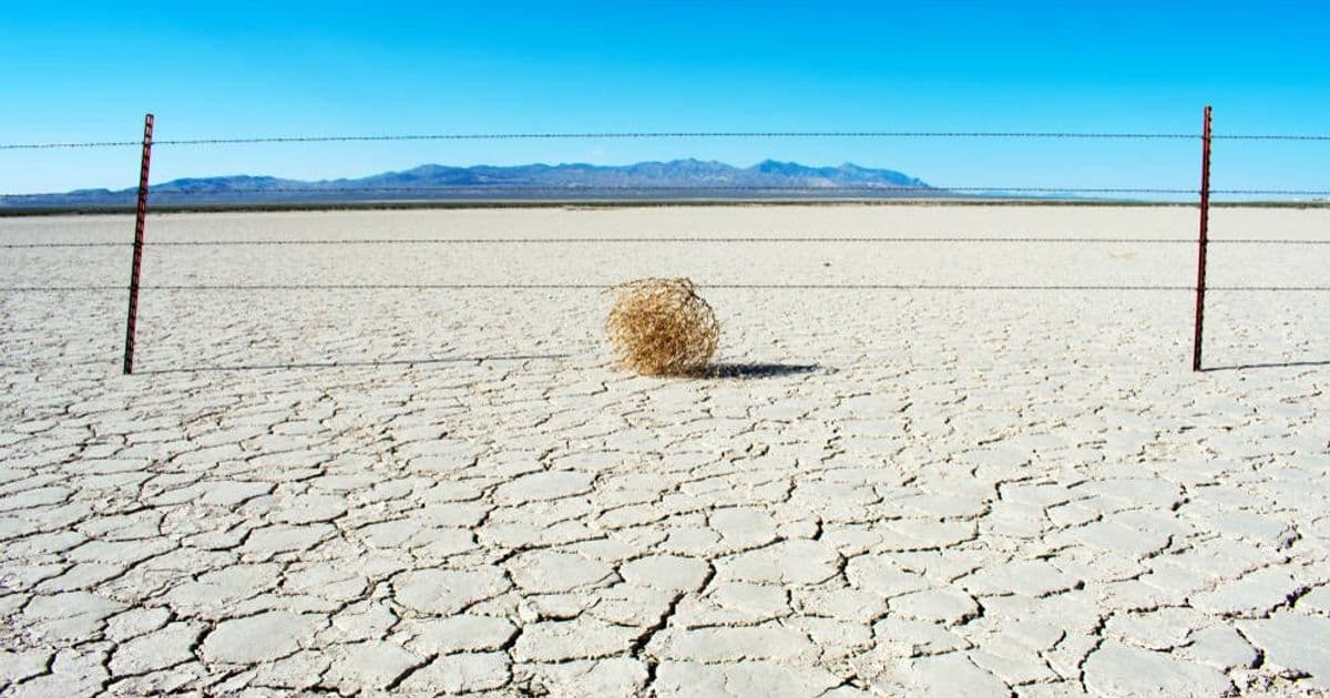 Memory Shortage Threatens to Make 2026 Devices More Expensive and Less Capable