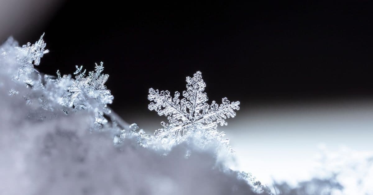 Policy Shifts Stall AI Translation of US Weather Alerts, Endangering Non-English Speakers