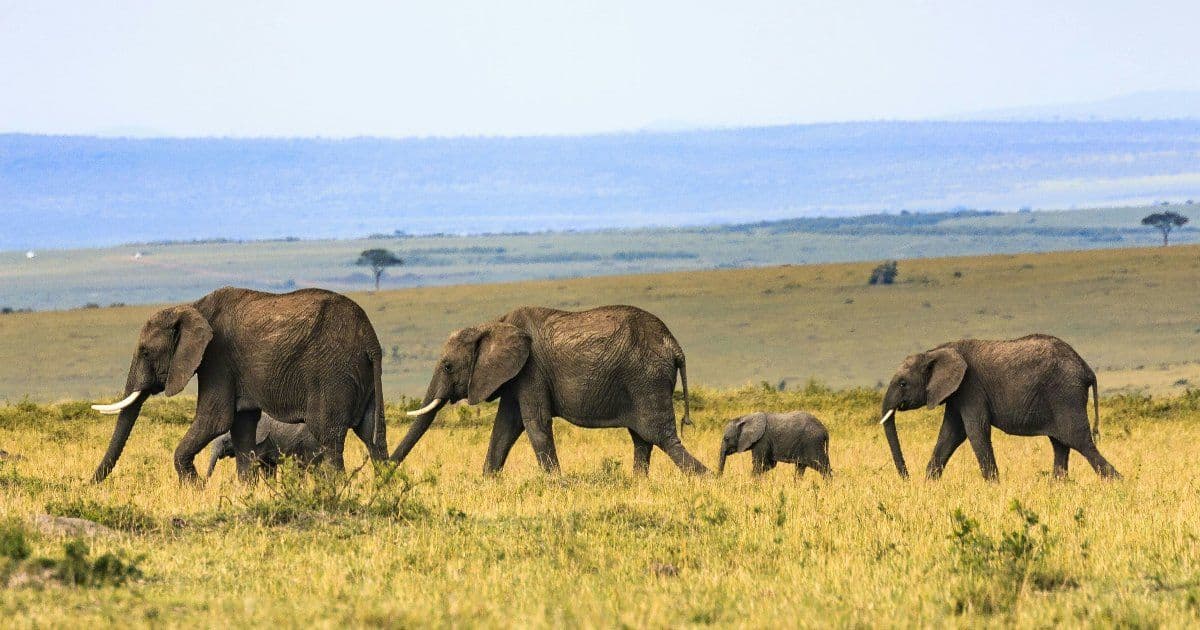 PostgreSQL 19 beta adds SQL graph queries and online table repacking