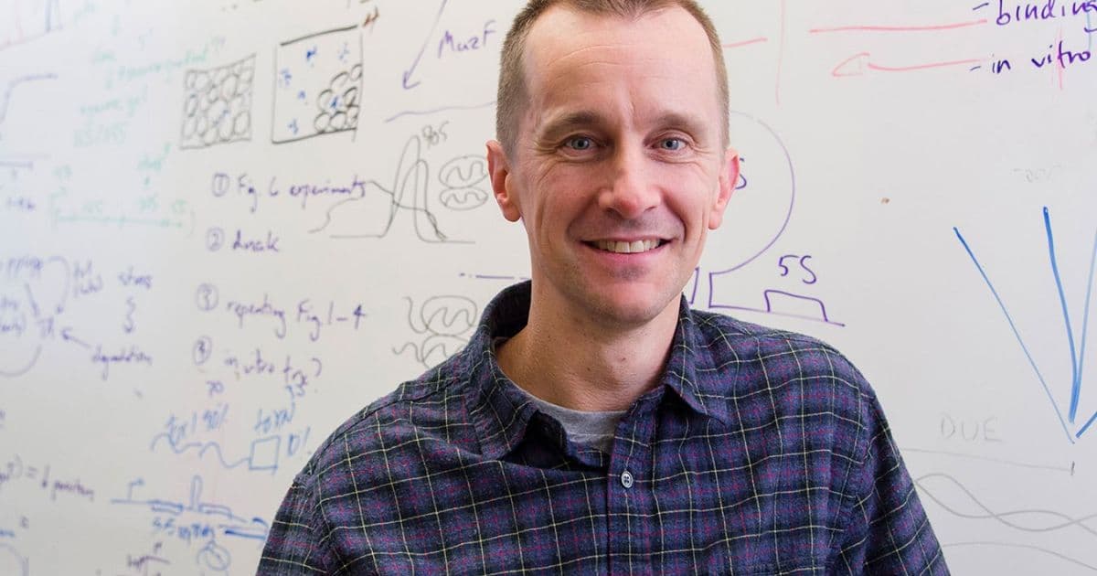 MIT Professor Michael Laub and 21 Alumni Named 2025 AAAS Fellows