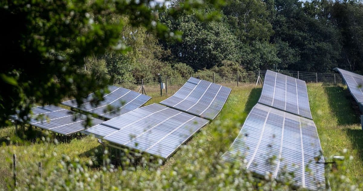 UK Onshore Wind and Solar Now 50% Cheaper Than Gas Power