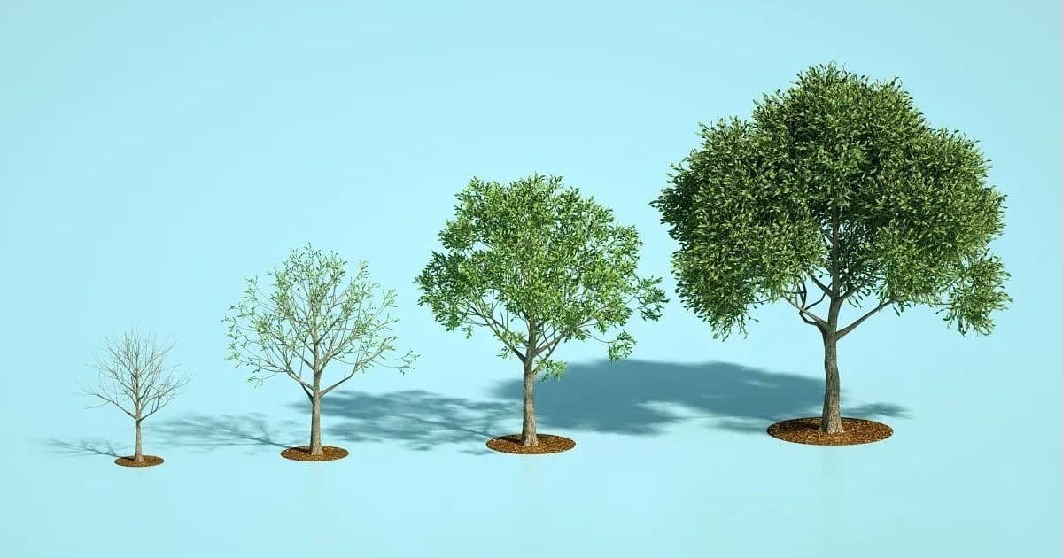 Rebuilding a Production Blog in Rails: A Journey from Ghost to Self-Hosted Mastery