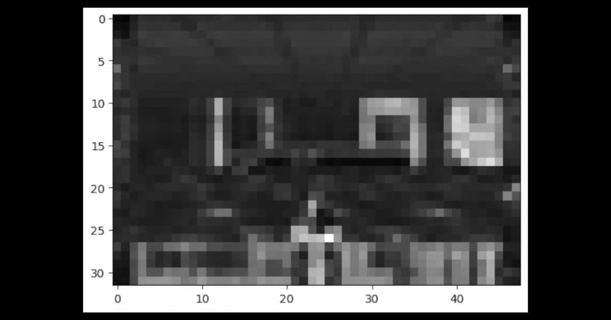When Biological Systems Meet Digital Classics: The E. coli Doom Experiment