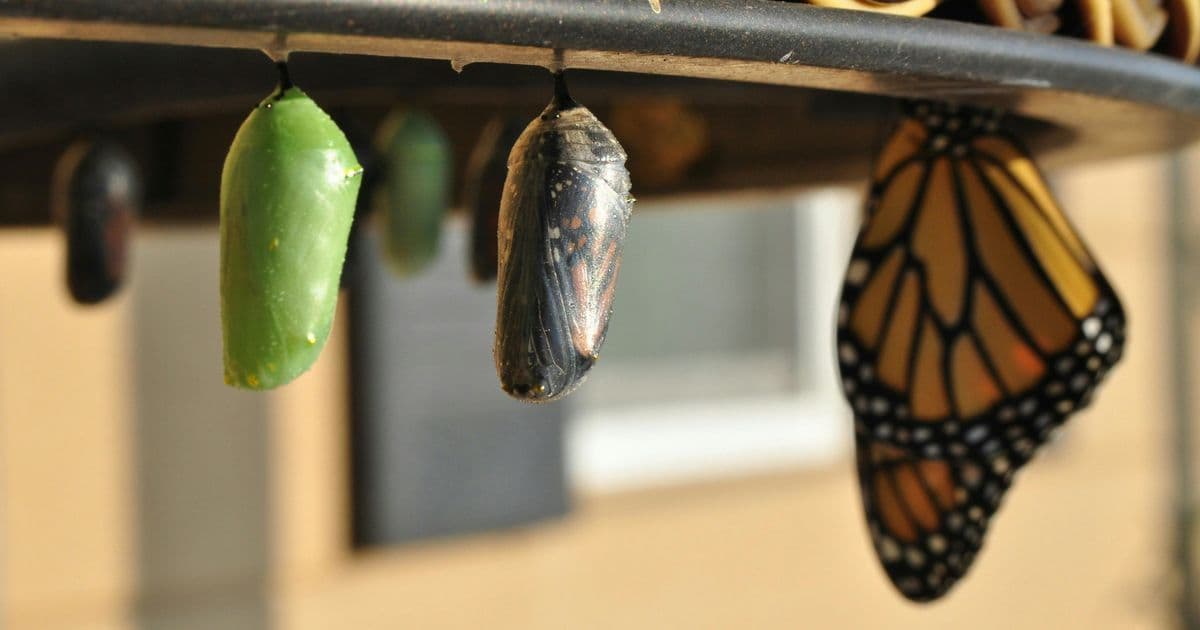 Rust 1.77 and 1.78 Fix Critical i128/u128 Alignment Issues