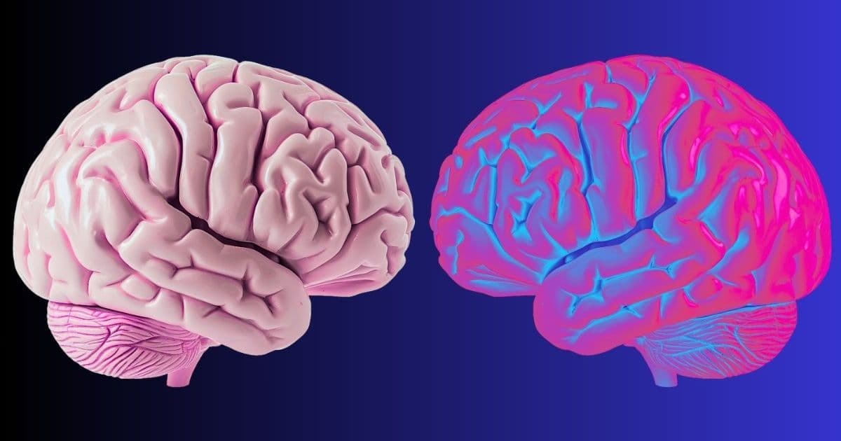 Brain Waves That Draw the Boundary of Self Identified