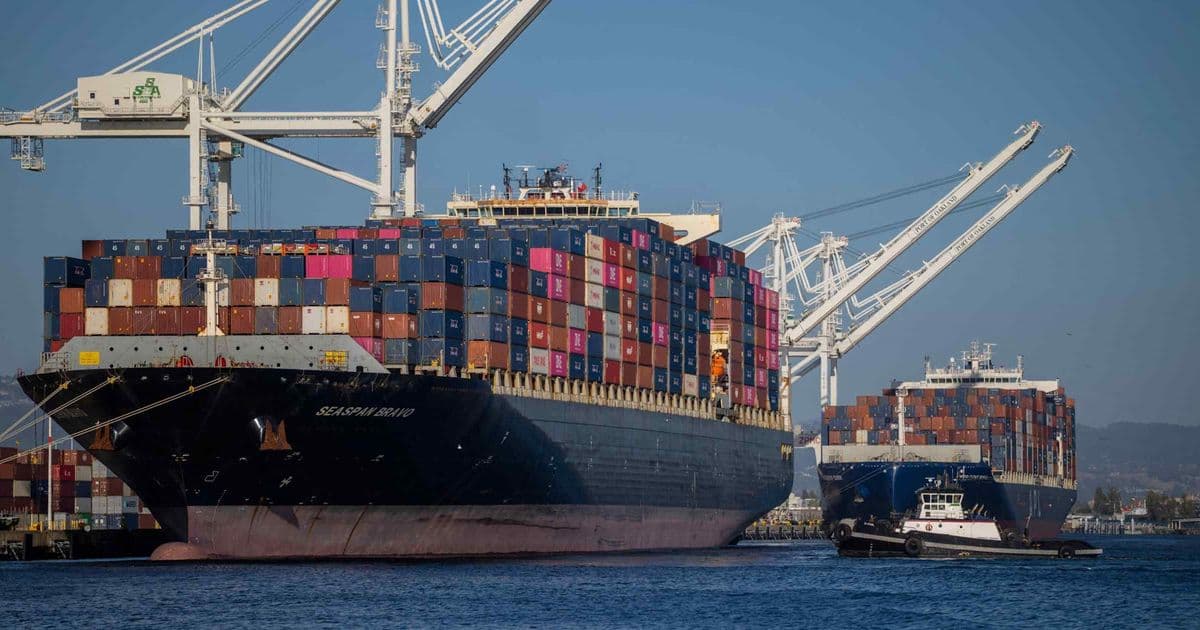 US Antitrust Case Sends Chinese Container Makers’ Shares Plummeting