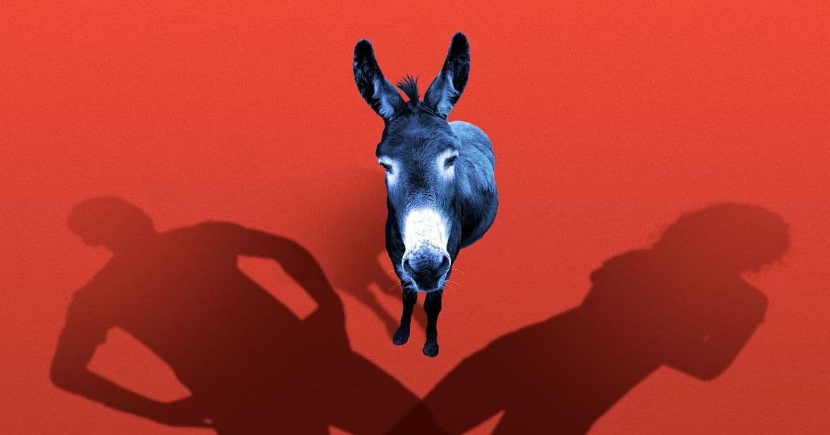 Some Democrats' 2028 Presidential Strategy: A Straight, White, Christian Man