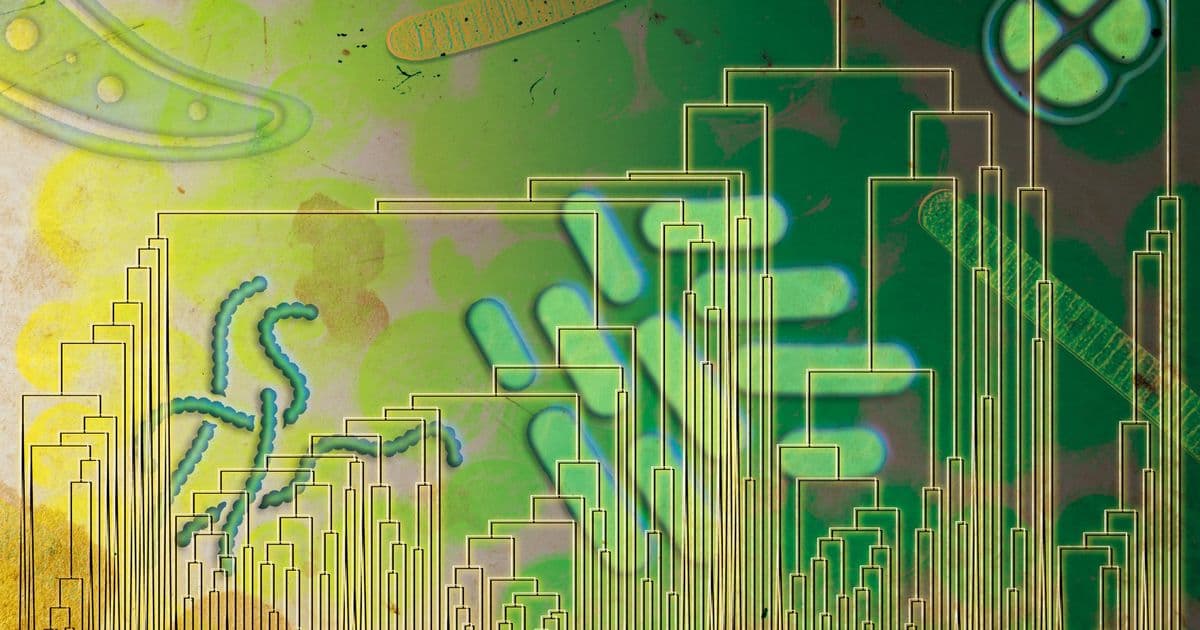 Early Life May Have Breathed Oxygen Before It Filled the Atmosphere