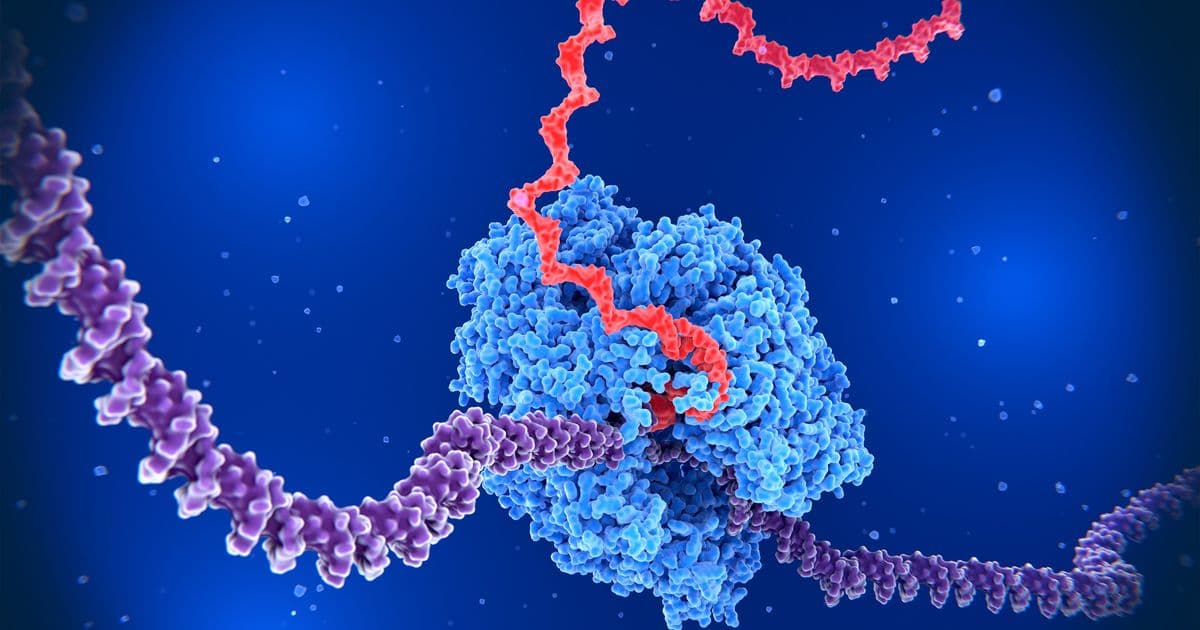 MIT Research Reveals Gene 'Syntax' Controls DNA Structure and Gene Expression