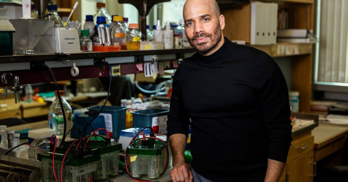 From Cleft Palate to Cellular Evolution: How Studying Disease Reveals Biology's Fundamental Secrets