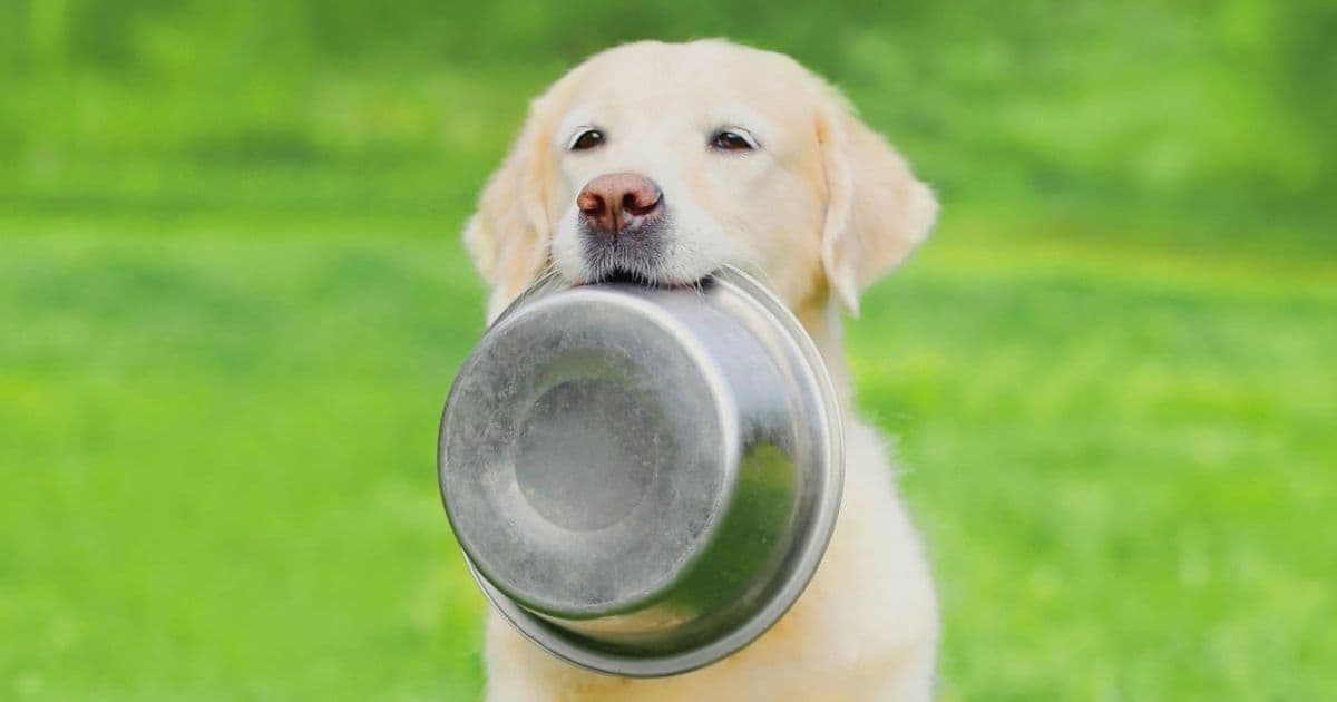 SUSE exec blurts that the company uses Teams • The Register