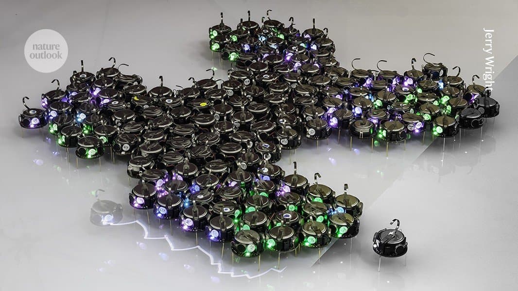 Swarm Robotics Enters the Bloodstream: Nanoparticle Collectives Target Cancer with Emergent Intelligence