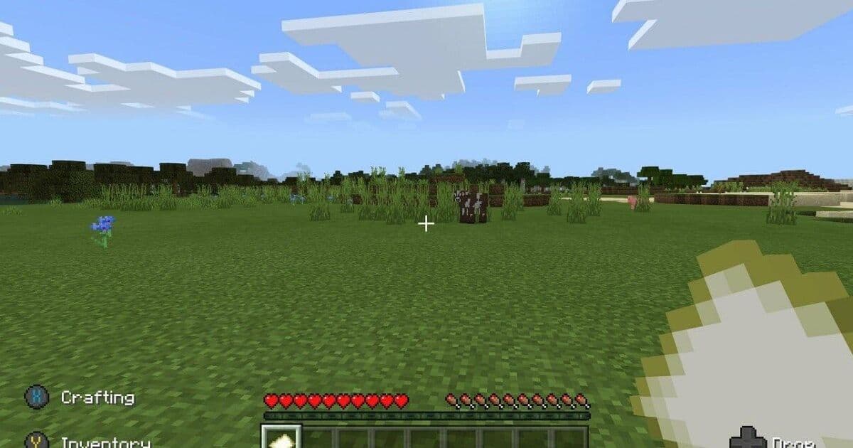 Swatting hoax sees cops raid elderly Minecraft player’s home