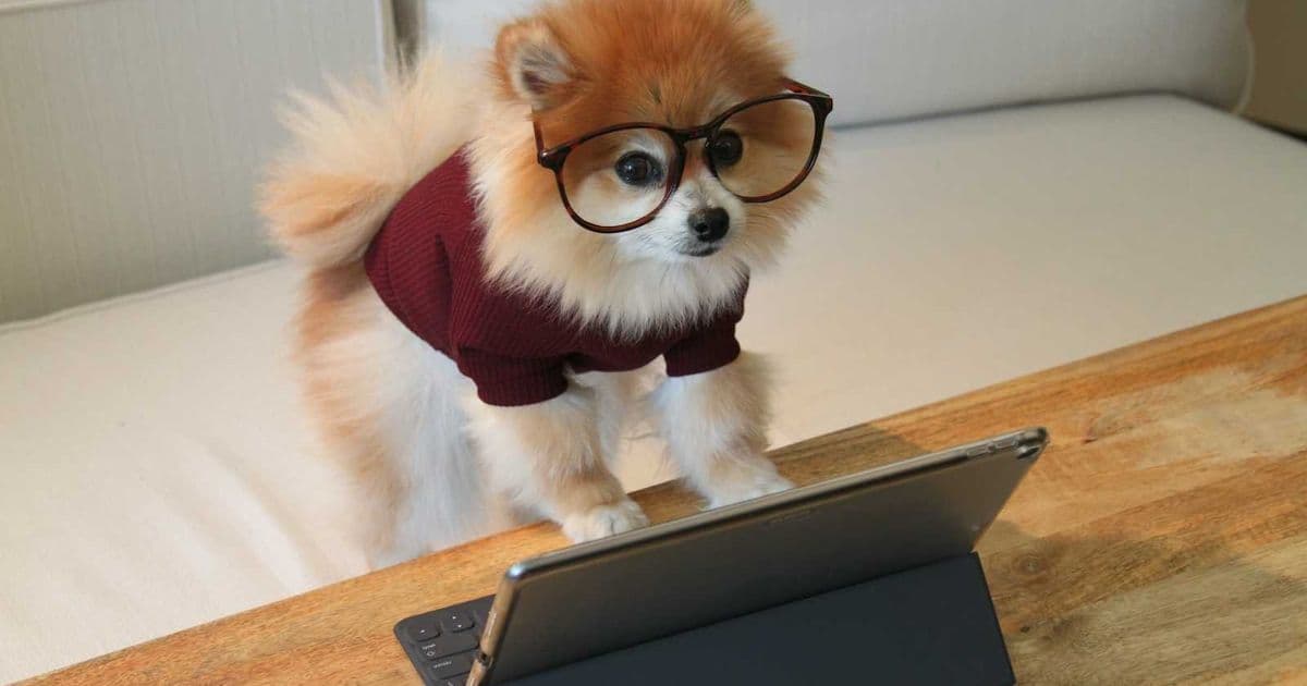 Taming the AI Beast: How Structured Frameworks Prevent Garbage Code Generation