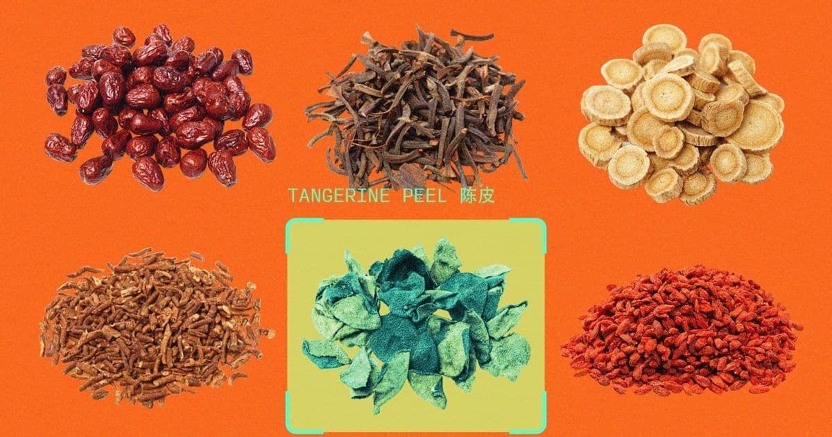 China's AI Push: Traditional Medicine Meets Silicon Valley