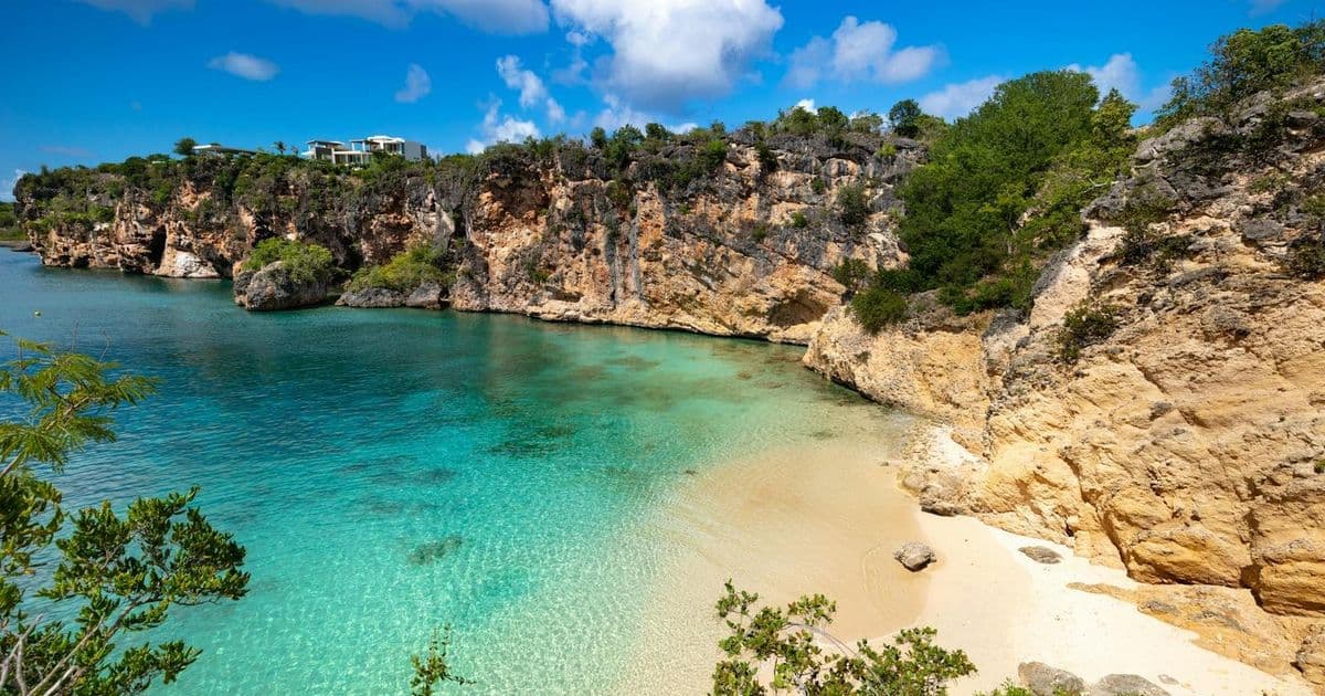 The .ai Domain Boom: How a Caribbean Island Became an AI Powerhouse