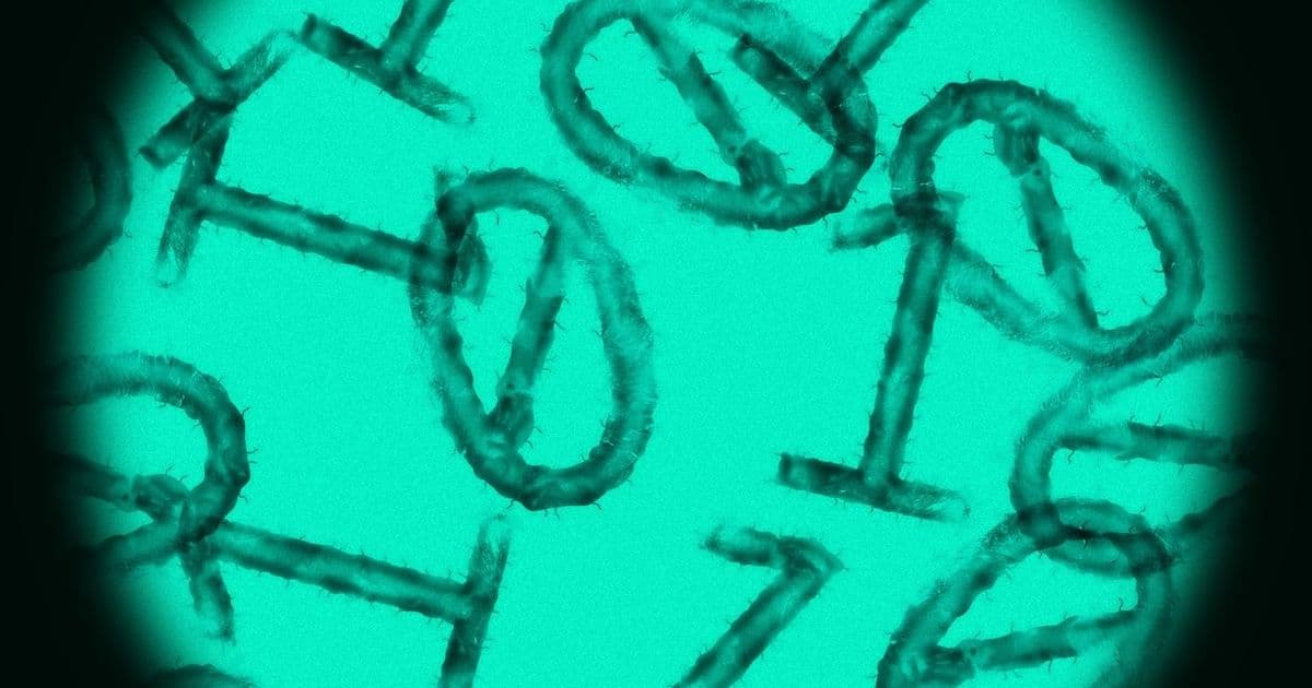 AI Researchers Warn of Dual-Use Threat in Infectious Disease Datasets