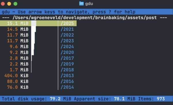 The Byte-Sized Dilemma: Is Image Optimization Still Worth the Effort?