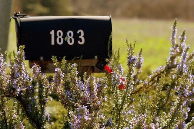 The Cognitive Science Behind Inbox Zero: Why Your Brain Craves Email Sanity